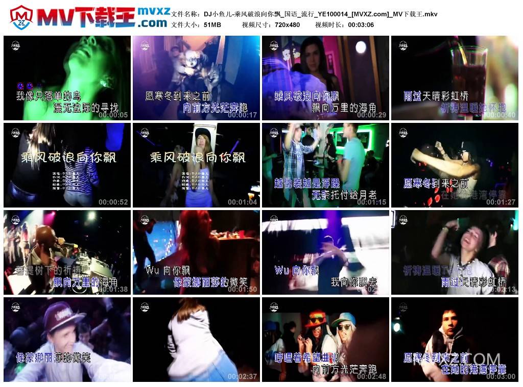 DJ小鱼儿-乘风破浪向你飘_国语_流行_YE100014